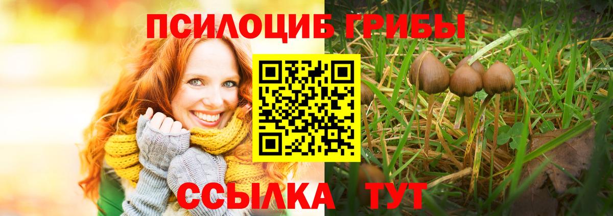 Галлюциногенные грибы мицелий Каменск-Уральский