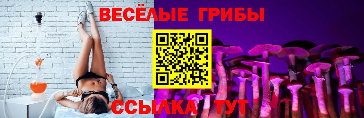 Галлюциногенные грибы Psilocybe  Вход с VPN  где можно купить   Каменск-Уральский 